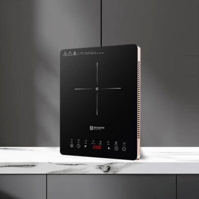 Bếp từ đơn RICHBORN RI3528-D17G